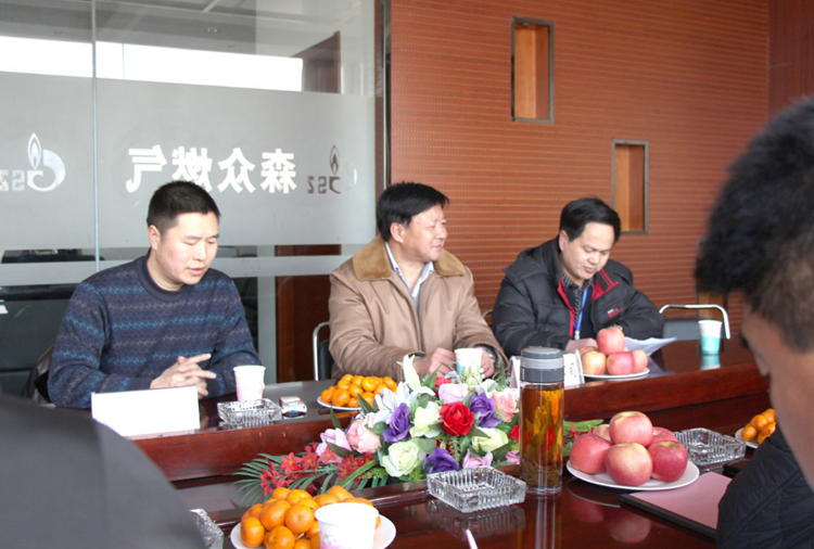 林口县政府与开云体育-开云体育(中国)官方网站燃气项目洽谈.png
